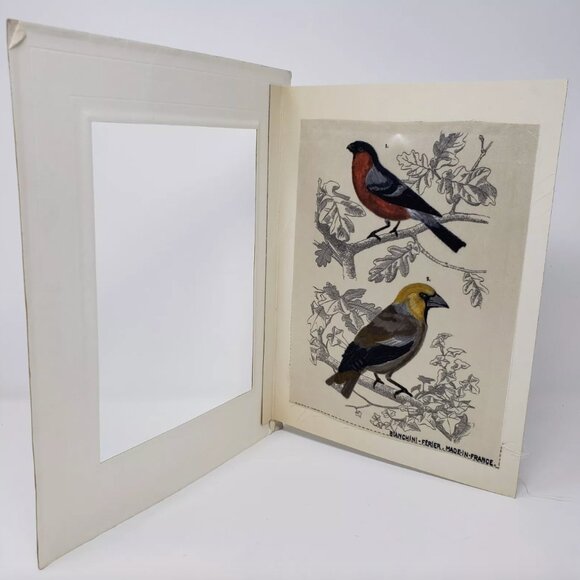 Bianchini Ferier Passereau Lyon Silk Art Bouvreuil & Gros Bec Birds Passereaux - Picture 5 of 9